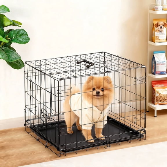 Dozzle 24-Inch Secure & Portable Dog Crate: Foldable Metal Wire Kennel with Enhanced Lock, Single-Door Cage for Small and Puppy Dogs, Black