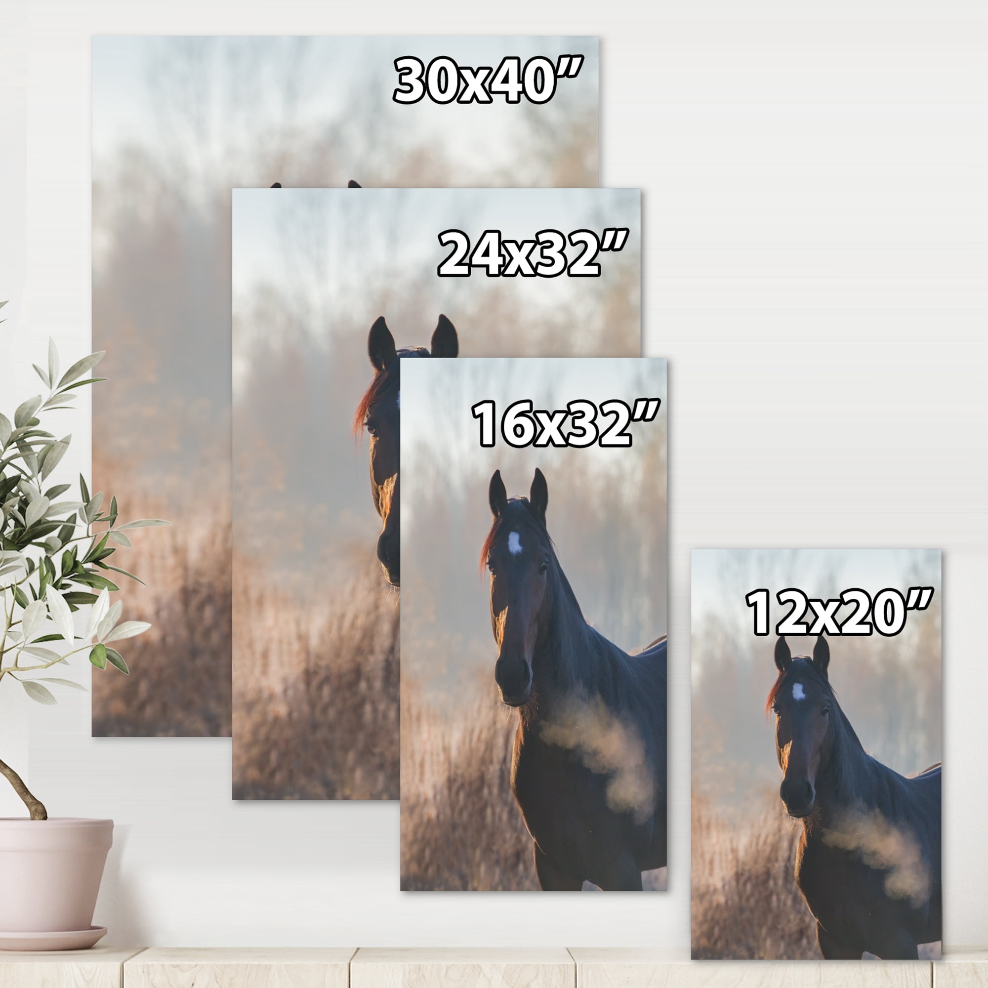 Designart ' Close Up Portrait Of A Horse On An Autumn Morning ' Farmhouse Canvas Wall Art Print