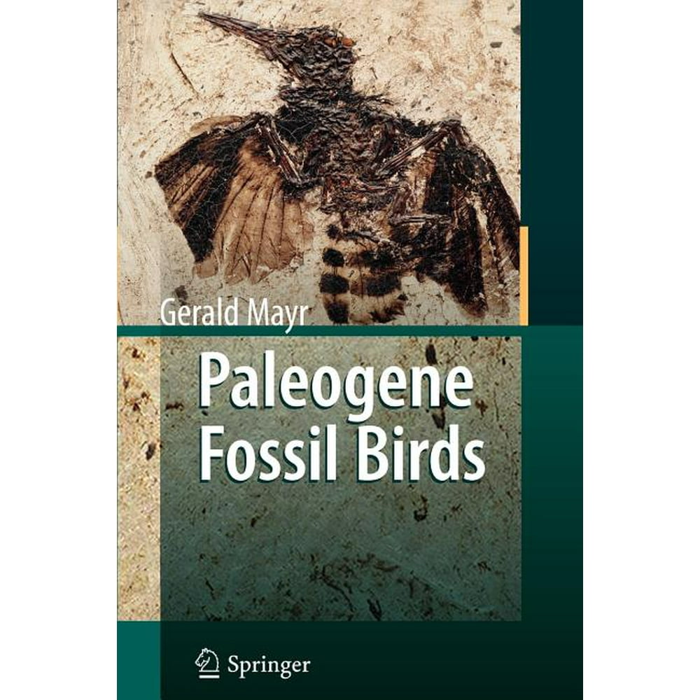 Paleogene Fossil Birds (Paperback)