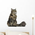 thumbnail image 1 of Maine Coon Cat Sitting Wall Decal by Wallmonkeys Peel and Stick Graphic (18 in W x 17 in H) WM61255, 1 of 4