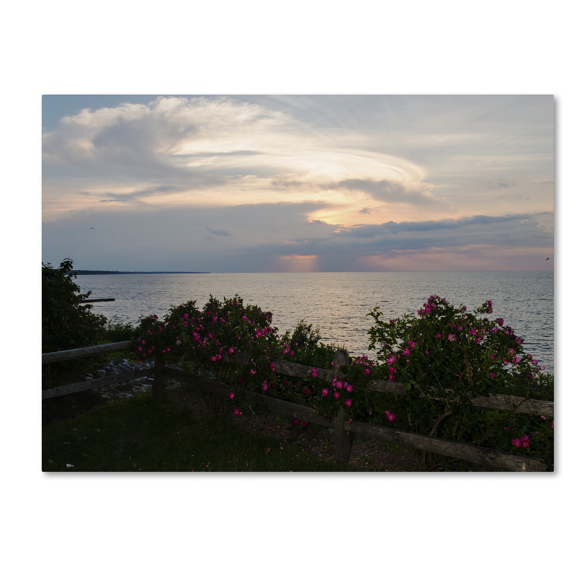 Trademark Fine Art "Roses in Bloom Along the Lake" Canvas Art by Kurt Shaffer