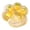 菠萝, variant on ZhangC Cat Paw Squeeze Ball, Transparent Large Paw Stress Relief Ball, Portable FidgetToys For Adults, Perfect Gift for Birthday, Easter Basket Stuffer