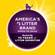 Purina Tidy Cats Performance Plus Tidy Feet Low Tracking Cat Litter, Unscented, 22 lb Box