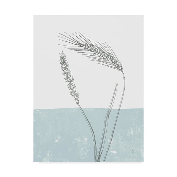 Trademark Fine Art 'Wheat' Canvas Art by Sarah Adams