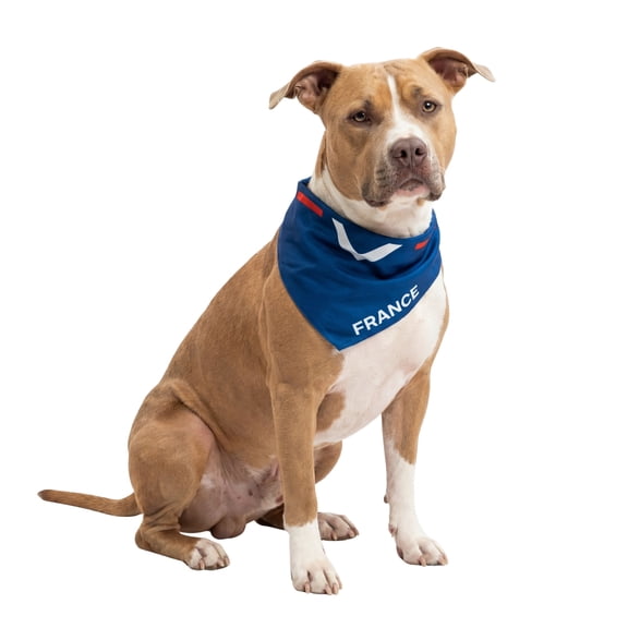 One Paw, 2-Pack Soccer Bandana Set for Pets, Team France, Lightweight, Blue, for Dogs and Cats