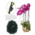 thumbnail image 3 of 100 Pcs Plant Clips Orchid Clips Plants Orchid Support Clips Flower Vine Clips for Supporting Stems Vines Stalks Climbing Plant Grow Upright, 3 of 6