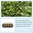 thumbnail image 4 of ICQOVD Combined Square Black Cultivation Pot Small Transparent Agricultural Tray, 4 of 8