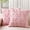 Pink, variant on SANMADROLA Bow Pillow Covers Coquette Room Decor Set of 2 Decorative Cute Girl Vlentine Pillow Covers Spring Soft Pillowcase for Bed Sofa Couch, Fall Christmas Decor, (18x18 Inch, Pink)