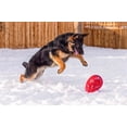 thumbnail image 3 of Juguete para perros Jolly Pets Jolly Egg, 20 cm, tamaño mediano, rojo, 3 of 6