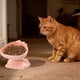 thumbnail image 4 of Herramientas y mejoras para el hogar Tazón de plástico para gatos Tazón para perros Tazón para comida de gatos Tazón para beber para la vértebra cervical Tazón para mascotas Tazón para mascotas, 4 of 5