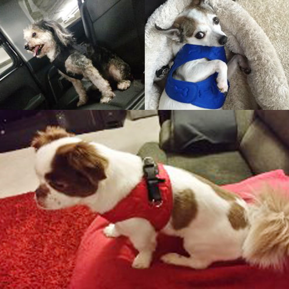 comfort fit metric dog harness