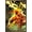 Bronze Framed Version, variant on DC Comics - The Flash - Spears Wall Poster, 14.725" x 22.375", Framed