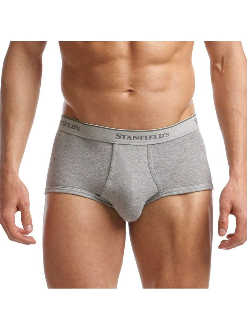 Free Shipping! Stanfield's Men's Supreme Cotton Blend Briefs 2