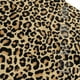 thumbnail image 3 of Balery Leopard Print Gorra de béisbol de tamaño ajustable para correr, entrenar y actividades al aire libre. Gorra de papá para todas las estaciones., 3 of 6