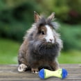 thumbnail image 2 of 2pcs Rabbit Treat Ball Interactive Rabbit Food Dispensing Toys Slow Feeder for Rabbits Guinea Pigs, 2 of 9