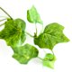 thumbnail image 2 of Plantas colgantes artificiales en maceta, vegetación artificial for oficina, sala de estar, baño, interior y exterior., 2 of 3