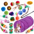 thumbnail image 7 of Coloody 21PCS Cat Toys Kitten Toys Set,Interactive Catnip Toys Incl Cat Tunnel, Cat Feather Teaser Wand, Chew Sticks,Mice,Variety of Balls and Bells for Indoor & Outdoor Playing-Purple, 7 of 7