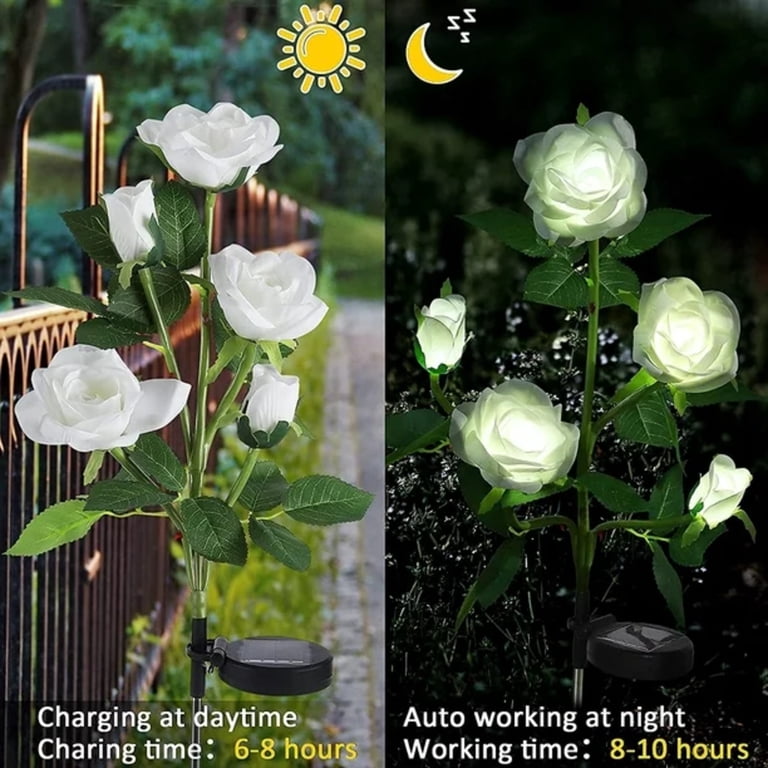 Rirool Solar Rose Flower Lights, 5-Pack Pathway Lights photo 5
