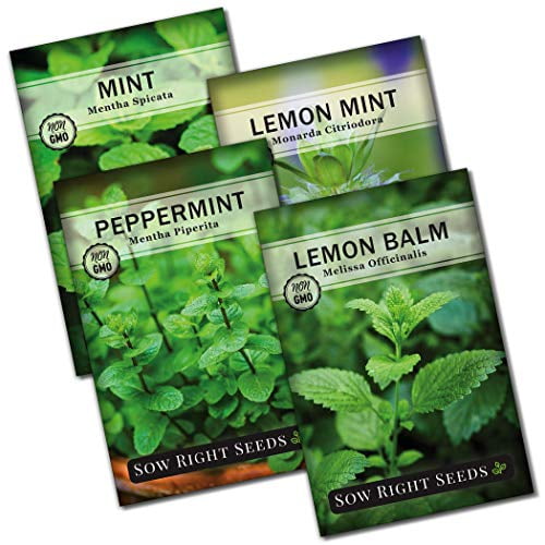 Buy Sow Right Seeds Mint Garden Seed Collection Peppermint, Common