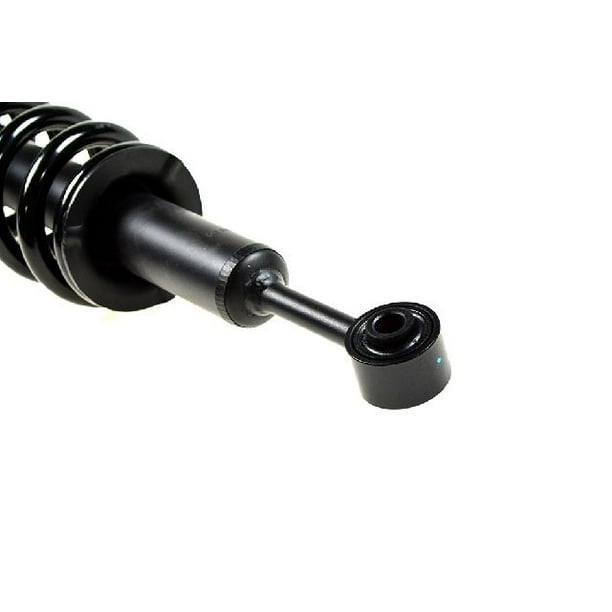 OE Replacement for 2003-2018 Toyota 4Runner Front Right Suspension Strut and Coil Spring ...