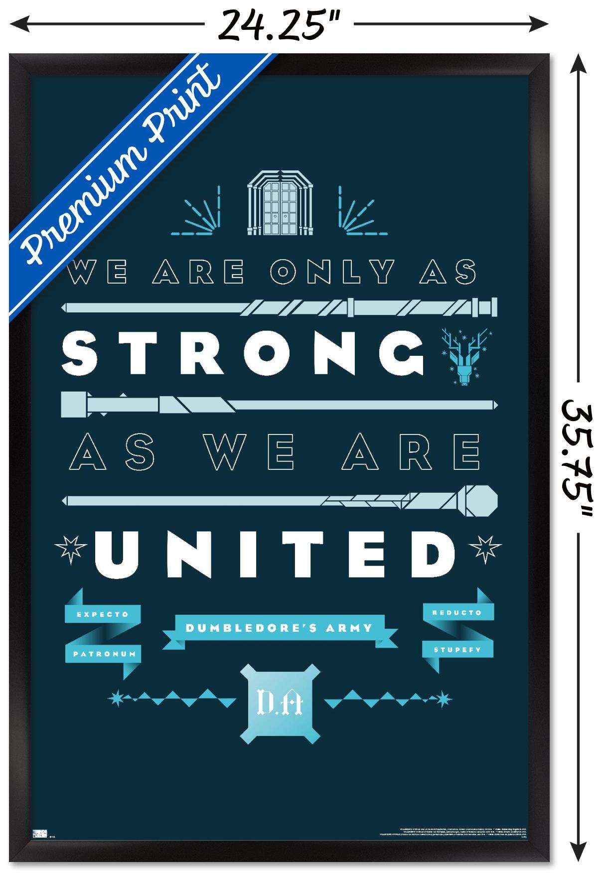 Harry Potter - United Wall Poster, 22.375" x 34", Framed