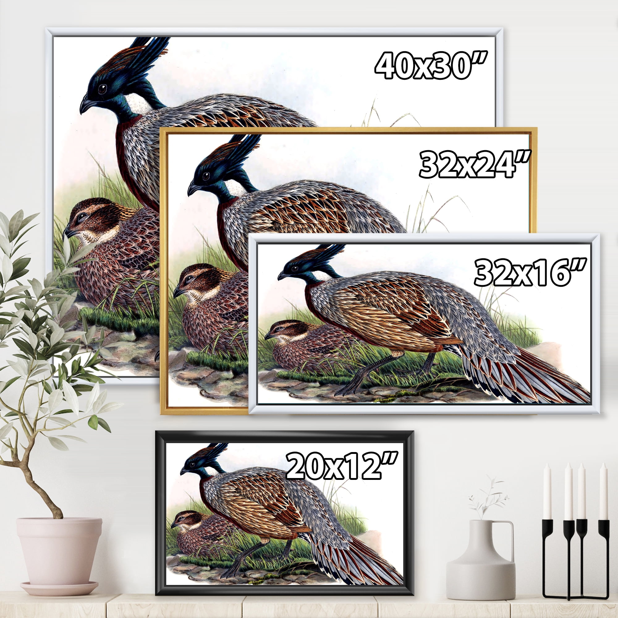 Designart 'Close Up Of Vintage Countryside Birds' Farmhouse Framed Canvas Wall Art Print