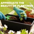 thumbnail image 5 of JF 7 Pack Black Plastic Rectangular Window Planter Box, Window Vegetable Planter Box with Trays, Rectangular Flower Pots for Windowsill, Garden, Balcony, Patio, Black, 5 of 6