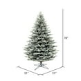 thumbnail image 3 of Vickerman 6.5' x 51" Douglas Blue Fir Artificial Christmas Tree, Unlit, 3 of 5