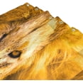 thumbnail image 3 of FREEAMG Africa Lion Shower Curtain, 72 x 72 Waterproof Polyester Fabric Shower Curtain Liner with Hooks for Bathroom Hotel, 3 of 4
