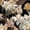 Color 3, variant on Boho Peel and Stick Wallpaper Delicate Watercolor Flower Earthy Tones Intricate Leaves Wall Mural 23.6in x 9.8ft Self Adhesive Flower Contact Paper Botanical Decor for Bathroom Vinyl