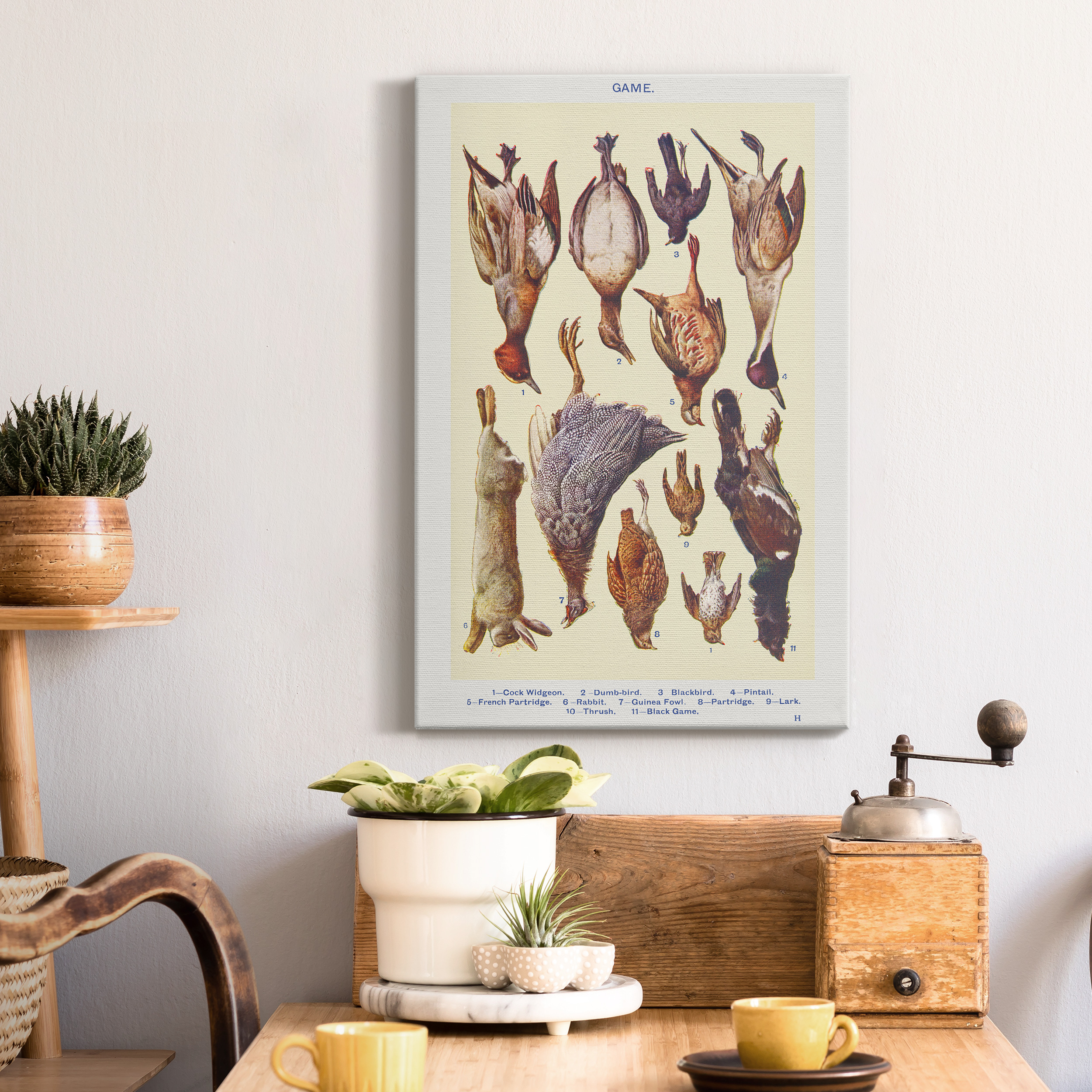 Game II Cock Widgeon, Dumb–bird, Blackbird, Pintail, French Partridge, Rabbit, Guinea Fowl, Partridge, Lark, Thrush, and Black Game Premium Gallery Wrapped Canvas - Ready to Hang - 8 x 12