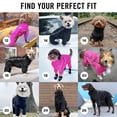 thumbnail image 6 of Canada Pooch Slush Suit Water-Resistant Dog Bodysuit (Black, 10 (9-11" back length)), 6 of 6