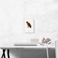 thumbnail image 2 of ARTCANVAS Black-Capped Lory Canvas Art Print by Edward Lear - Size: 12" x 8" (0.75" Deep), 2 of 9