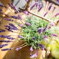 thumbnail image 4 of Faux Artificial Lavender Provence Lavender Stem 21" Tall Silk, 4 of 7