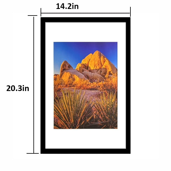 Picture Frame PVC Black Frame 14.2W*3.1D*20.3H/7.9LB Wall Mount Display, Pack of 5