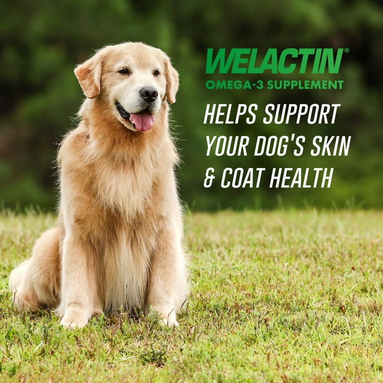 l carnitine for dogs lipoma Carnitine for Dogs main image 0
