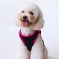 thumbnail image 4 of CSChome Pet Vest Breathable Soft Comfortable Sleeveless Crown Printing Dog Vest Pullover Daily Wear, 4 of 7