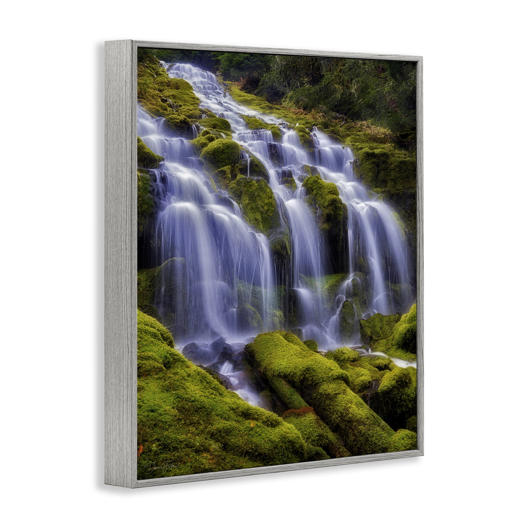 Stupell Industries Upper Proxy Falls Gray Framed Giclee Art, design by Dennis Frates