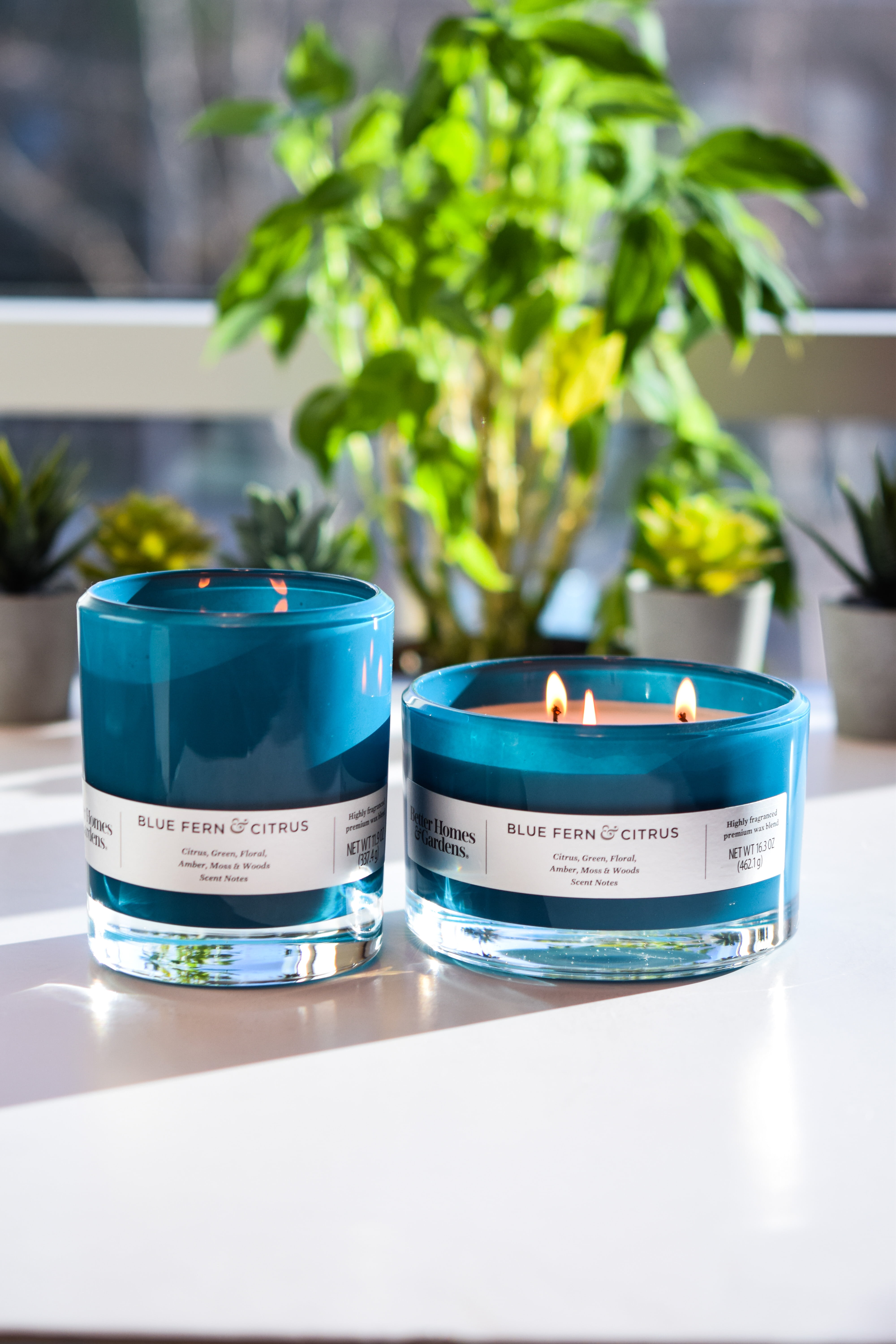 Better Homes & Gardens Blue Fern & Citrus 12oz Scented 2-wick Candle