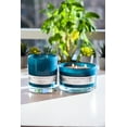 thumbnail image 5 of Better Homes & Gardens Blue Fern & Citrus 12oz Scented 2-wick Candle, 5 of 5