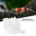 thumbnail image 3 of 2 Sizes Easy To Clean Aquarium Shrimp Feeding Dish, Dish Feeder Bowl Shrimp Feeding Dish, Hamsters Rabbits For Smaller Reptiles Squirrels, 3 of 8