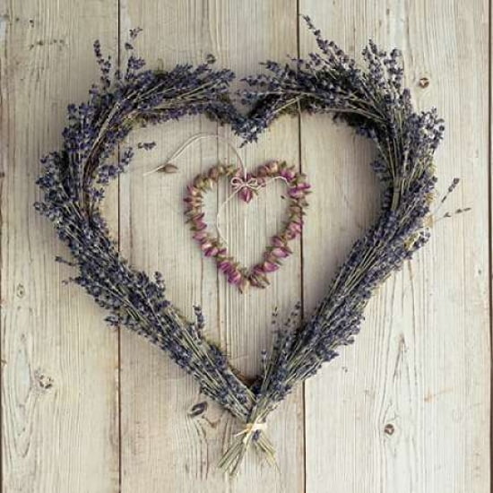 La Lavende Canvas A