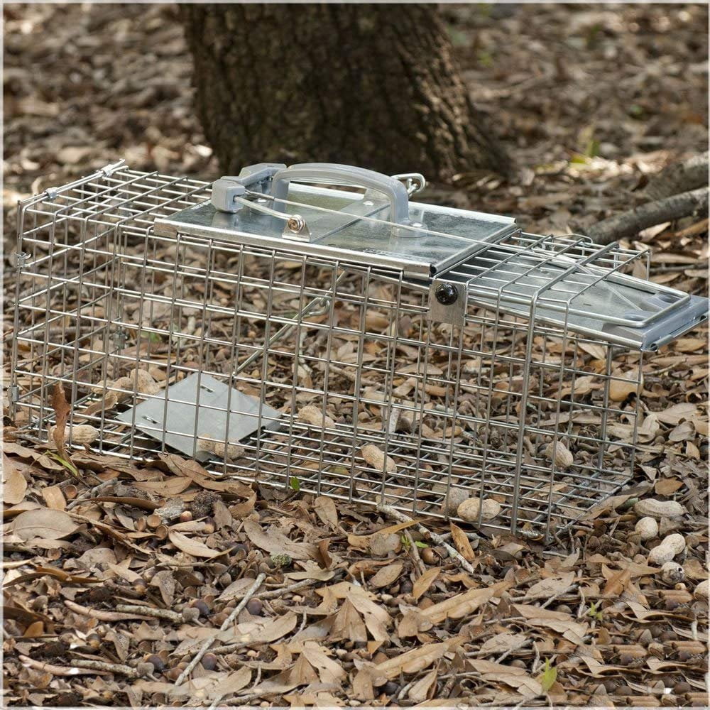 Havahart 1083 Easy Set One-Door Cage Trap for Squirrels and Small Rabbits 
