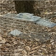 thumbnail image 5 of Havahart Outdoor 1-Door Live Animal Trap, Metal, Small, 5 of 8