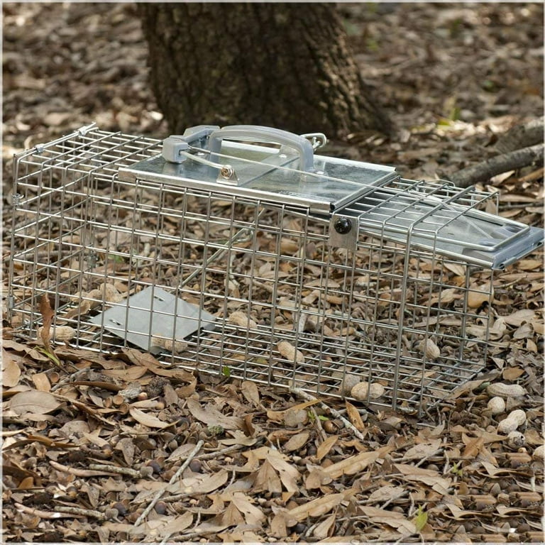 How to Set: Havahart® Medium 2-Door Trap Model #1030 for Mink, Large  Squirrels & Rabbits 