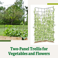 thumbnail image 3 of Two Panel Folding Trellis, 3 of 6
