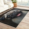 thumbnail image 1 of Pug Rug & Home Decor - Cute Dog Rugs for Entryway, Front Door Mat Indoor Entrance, Washable Rugs, 3x5 Rug, Non Slip Soft Small Area Rug, Puppy Carpet & Room Decorations Y-&94, 1 of 7
