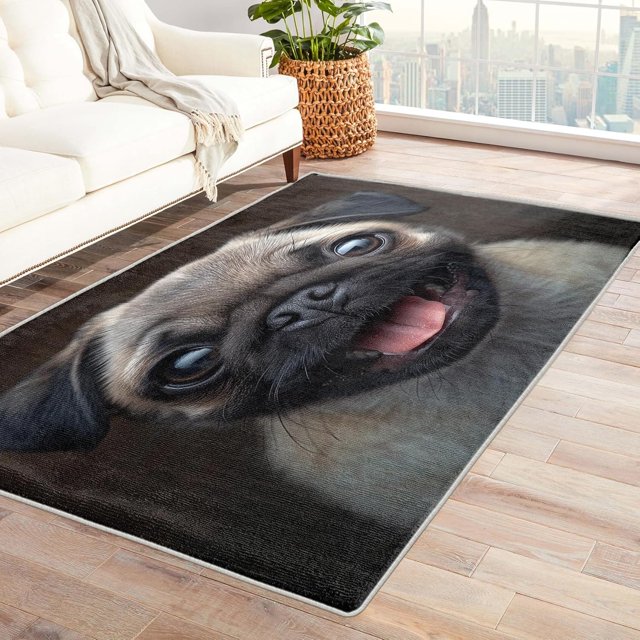 Pug Rug & Home Decor - Cute Dog Rugs for Entryway, Front Door Mat Indoor Entrance, Washable Rugs, 3x5 Rug, Non Slip Soft Small Area Rug, Puppy Carpet & Room Decorations Y-&94