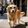 thumbnail image 4 of Dog Sunglasses - UV Protective Pet Goggles with Anti-Fog Lenses, Adjustable Strap for Medium to Large Dogs, Windproof & Shatterproof Eyewear for Outdoor Activities, 4 of 6