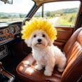 thumbnail image 4 of Pet Afro Novelty Wig for Dog, Candy Color Funny Trimmable Head Cover for Small Medium Large Cat Dog Festival Cosplay Party Dress Up Photo, Orange, 4 of 7